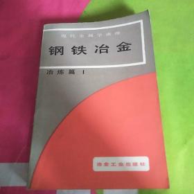 钢铁冶金（现代金属学讲座 冶金篇1）