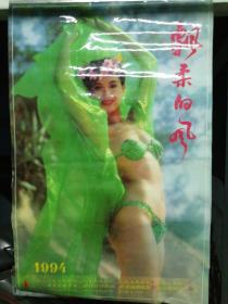 1994年 飘柔的风 美女薄膜挂历 全12张