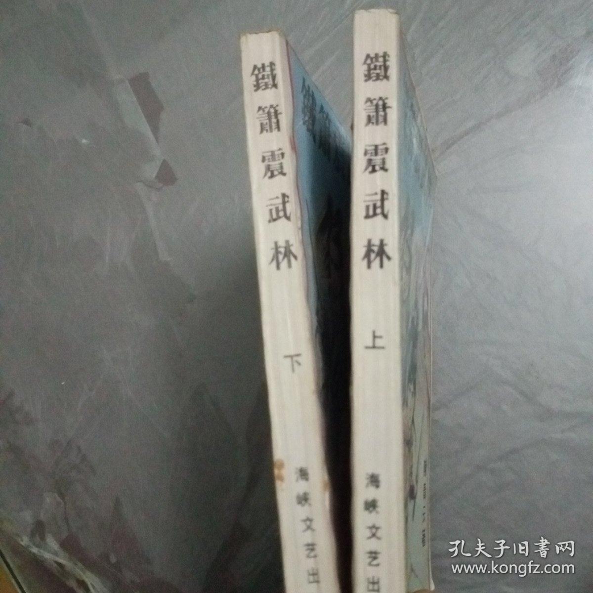 陈青云武侠小说：铁箫震武林（上下册）