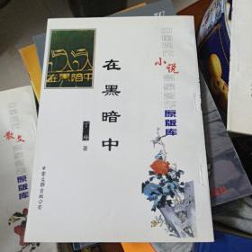 中国现代小说名家名作原版库-在黑暗中(竖版)