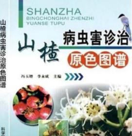 山楂种植技术视频山楂树栽培技术修剪病虫害防治1视频4书籍