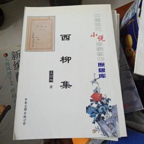 中国现代小说名家名作原版库-西柳集(竖版)