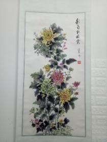 秋菊能傲霜  菊花 周传英