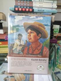 哈克贝利·费恩历险记（名家名译）