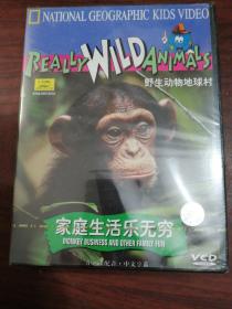 家庭生活乐无穷VCD    未拆封