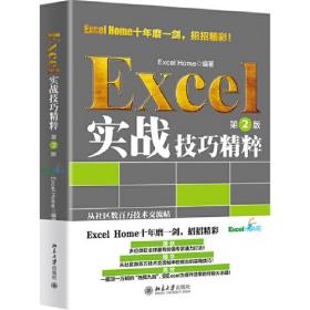 Excel 实战技巧精粹（第2版）