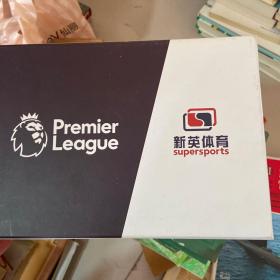 premier league 徽章