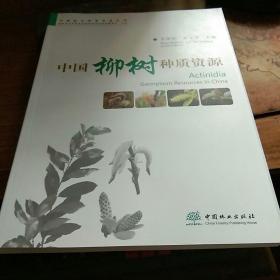 中国柳树种质资源（大16开铜版纸彩图）库存书、无人翻阅