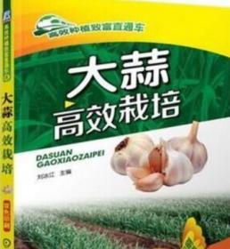 蒜黄蒜薹大蒜栽培种植技术大全3视频2书籍