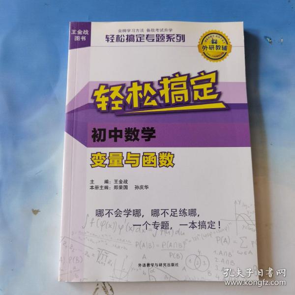 王金战系列图书:轻松搞定初中数学变量与函数