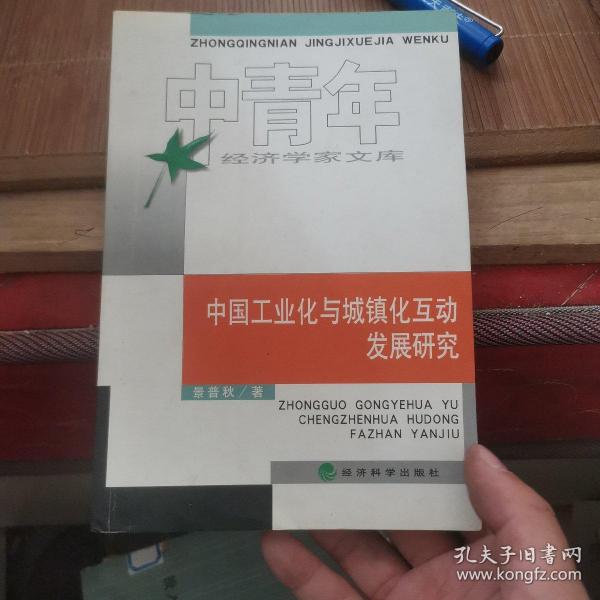中国工业化与城镇化互动发展研究（中青年经济学家文库）