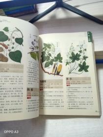 本草纲目：本草纲目（精华本）