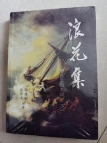 浪花集  【智涛炜漪文集 下册】