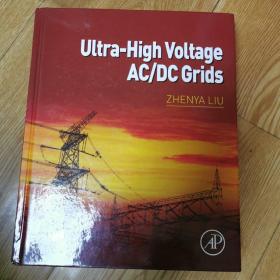 ultra-high voltage AC/DC grids（特高压交流/直流电网）