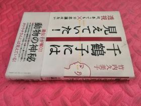 【日文原版】千鹤子には见えていた！（品相如图）