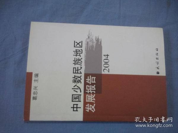 中国少数民族地区发展报告（2004）
