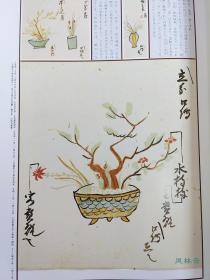 《花之秘传》4开大册 日本花道室町至昭和时代花形绘卷 池坊专永 小原丰云 勅使河原苍风三大流派家元秘藏展示