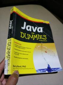 Java For Dummies