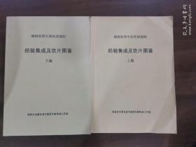 樟树药帮中药传统炮制经验集成及饮片图鉴 上下编。单面黑白印刷617页，内容有的地方有修改的字迹，可能是送审稿！书友自鉴！