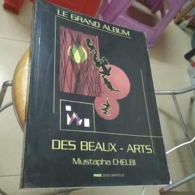 le grand album,des beaux-arts——京