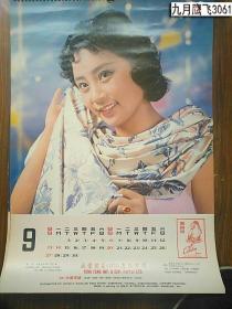 1981年挂历   明星美女等香港永丰公司 共11张 缺1.5两张看好拍。