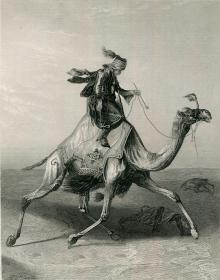 1852年钢版画《沙漠信使》27×20.5 厘米