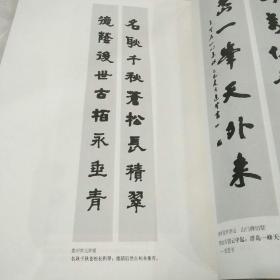名家名胜书法精选：楹联中册