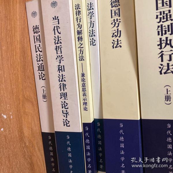 当代法哲学和法律理论导论