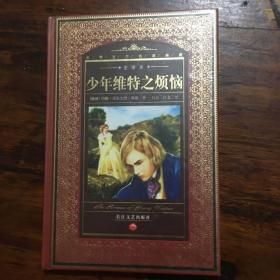 少年维特之烦恼