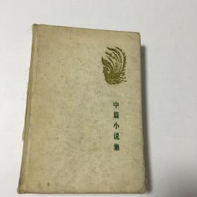 中篇小说集