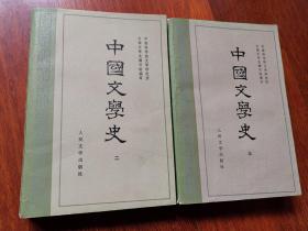 中国文学史（二三）