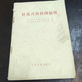 针灸穴位挂图说明