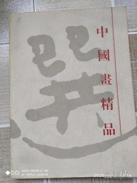 傅抱石，潘天寿，魏紫熙，石鲁，陈克永等【中国画精品选】，