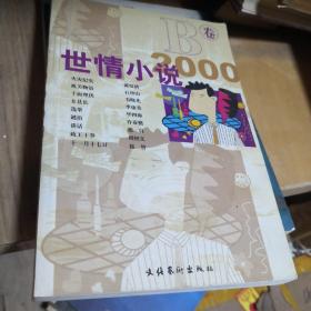 世情小说2000
