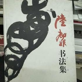 陆抑非精品画集