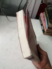 朝内166人文文库·中国当代长篇小说：风云初记