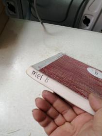 朝内166人文文库·中国当代长篇小说：风云初记