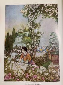 Rubaiyat of Omar Khayyam 《鲁拜集》Edmund Dulac 杜拉克插图