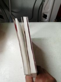 朝内166人文文库·中国当代长篇小说：风云初记