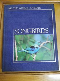 英文原版：Songbirds 「All the world’s animals」