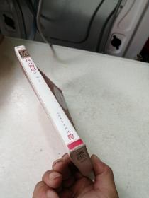 朝内166人文文库·中国当代长篇小说：风云初记