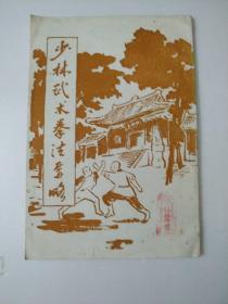 少林武术拳法要略