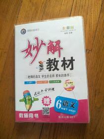 妙解教材 6年级语文 下