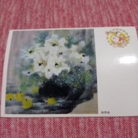 中国邮政明信片〈白百合〉一张8元包邮