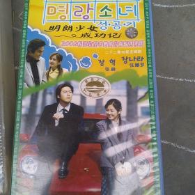 电视剧VCD，明朗少女成功记(22VCD)