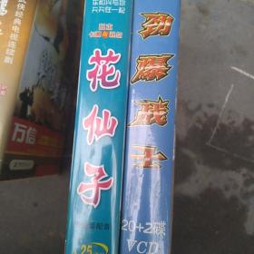 电视剧VCD，花仙子，劲爆战士，康熙帝国，贫嘴张大民的幸福生活，射雕英雄传