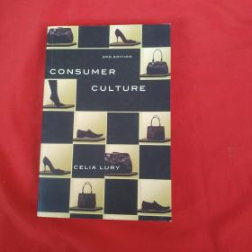 CONSUMER CULTURE 2ND EDITION