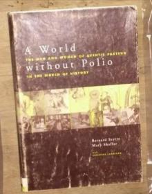 英文原版 A World Without Polio; The Men And Women Of Aventis Pasteur In The March Of History
by Mary Shaffer Bernard Seytre 著