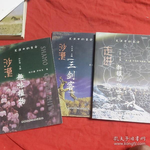 荒漠中的生命—沙漠三剑客、沙漠趣味植物、走进新疆动物世界（全套3本合售）