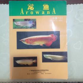 龙鱼 ArowanA 水族11